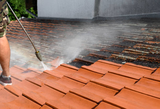Best Pressure Washing Near Me  in Algonquin, IL