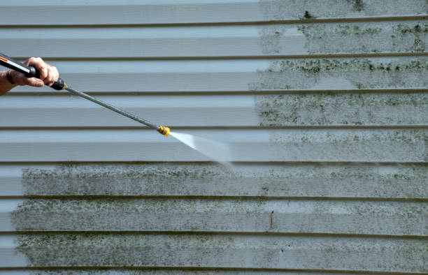 Best Sidewalk Pressure Washing  in Algonquin, IL