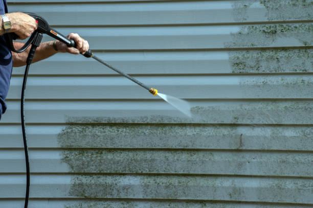 Best Pressure Washing Services Near Me  in Algonquin, IL