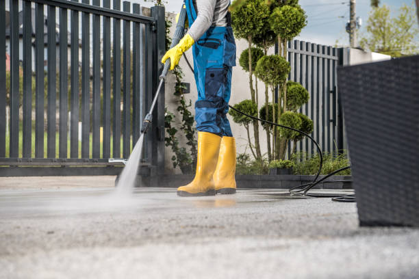 Deck Cleaning Services in Algonquin, IL