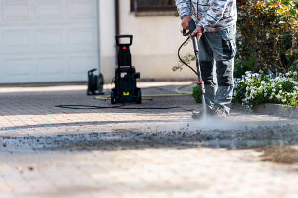 Best Deck Cleaning Services  in Algonquin, IL