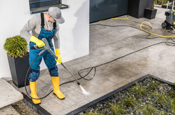 Best Exterior Home Cleaning  in Algonquin, IL