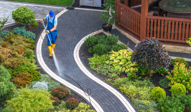 Best Commercial Building Pressure Washing  in Algonquin, IL