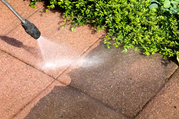 Best Roof Power Washing Services  in Algonquin, IL